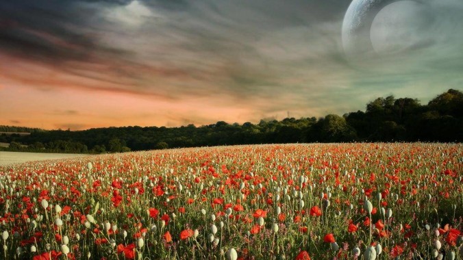 偶遇曾经发生过关系的异性，会觉得尴尬吗？